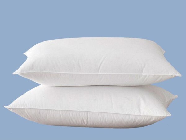 Down pillows Nest by Nature