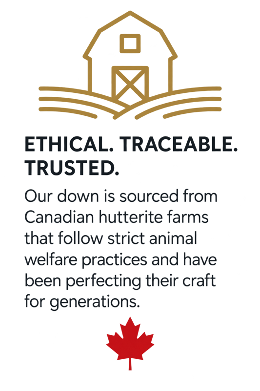 Nest-by-Nature-Ethical Nest by Nature Ethical